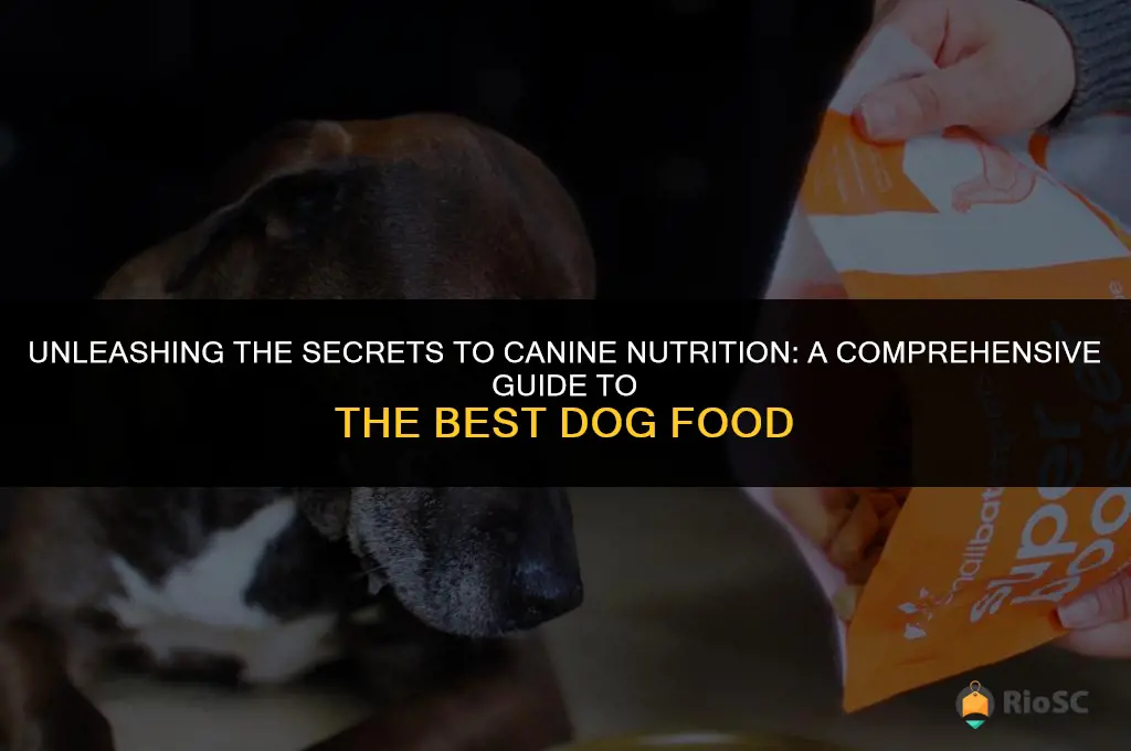 best dog food book