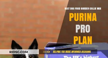 Top Choice for Your Border Collie Mix: Purina Pro Plan Dog Food Review