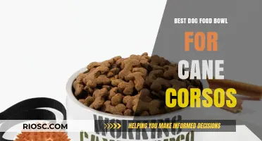 Top Picks for Cane Corso Dog Food Bowls: A Comprehensive Guide