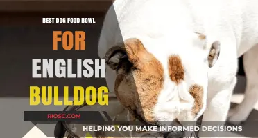 Top Picks for Your English Bulldog: Durable and Stylish Dog Food Bowls