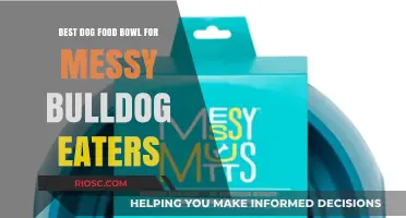 Top Picks for the Best Dog Food Bowl to Tame Your Messy Bulldog Eater
