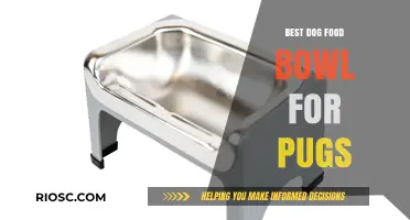 Top Picks for Pug-Friendly Dog Food Bowls: A Comprehensive Guide