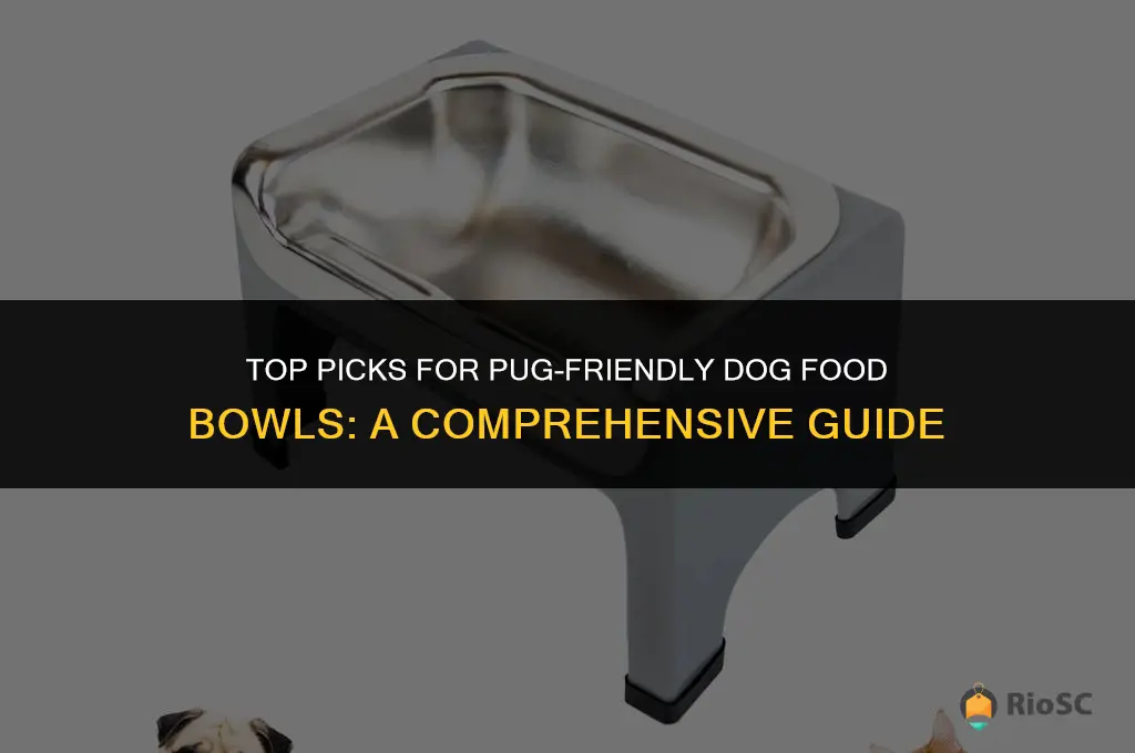 best dog food bowl for pugs