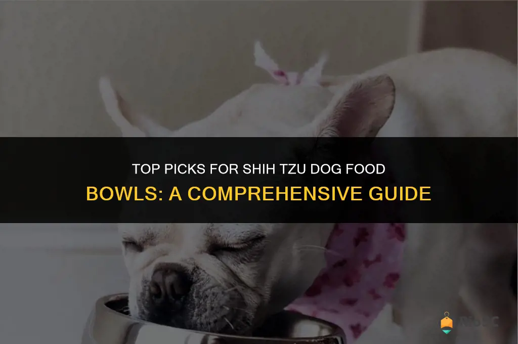 best dog food bowl for shih tzu