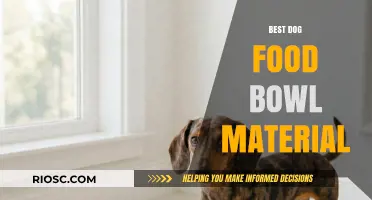 Choosing the Perfect Dog Food Bowl: A Guide to the Best Materials for Your Pet's Health and Happiness