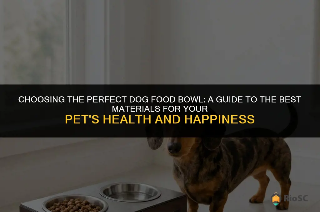 best dog food bowl material