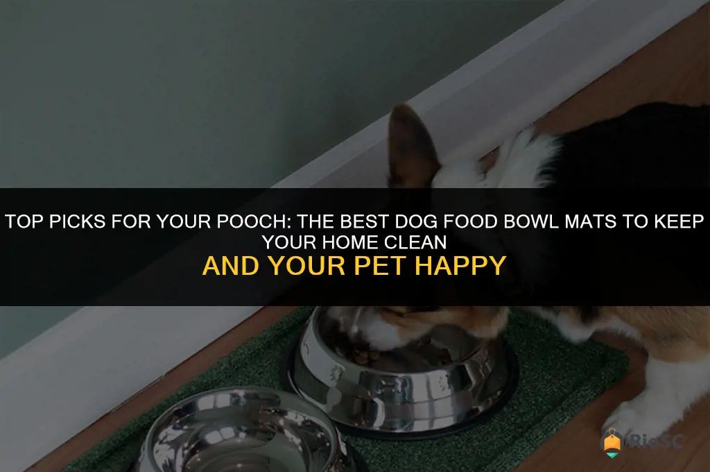 best dog food bowl mats