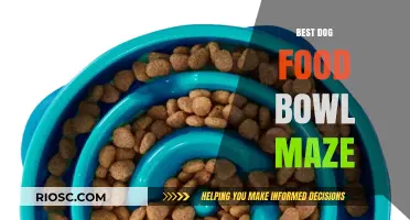 Navigating the Labyrinth of Canine Cuisine: A Guide to the Best Dog Food Bowl Mazes
