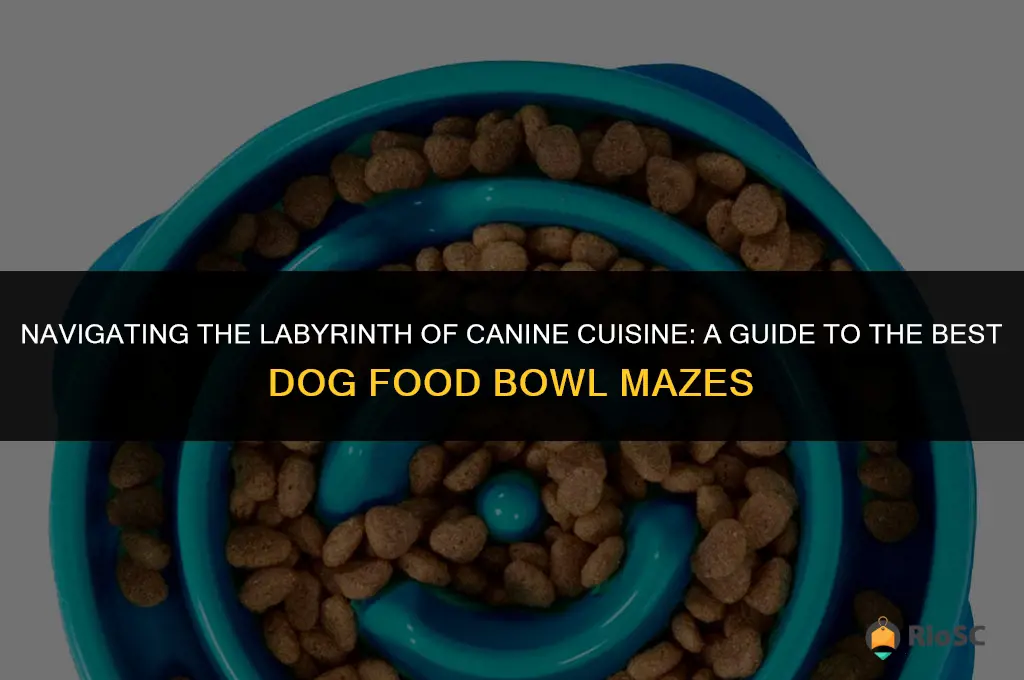 best dog food bowl maze