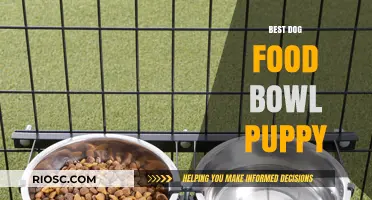 Top Picks for Your Furry Friend: The Best Dog Food Bowls for Puppies