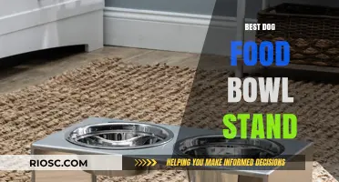 Elevate Your Pup's Dining Experience: The Ultimate Guide to Choosing the Best Dog Food Bowl Stand