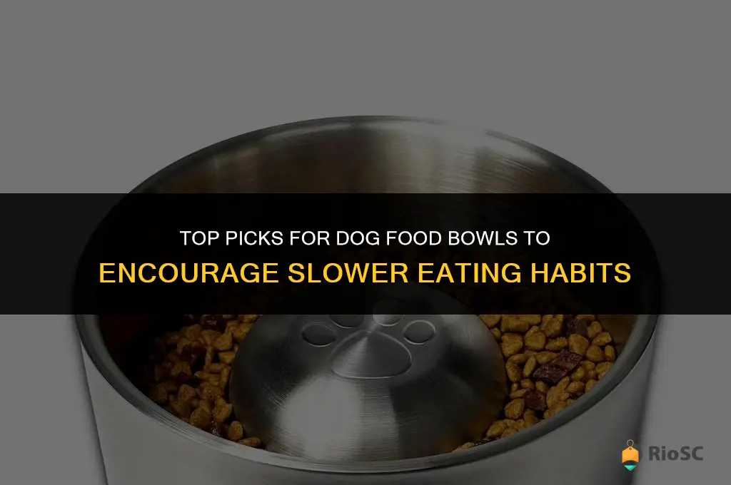 best dog food bowl to slow down eating