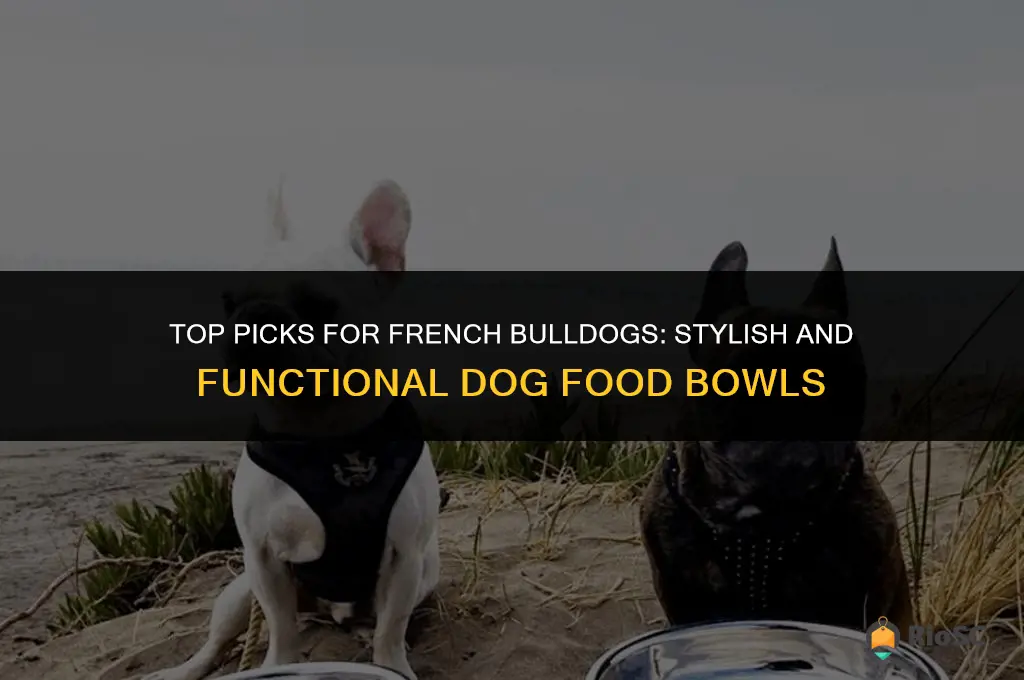 best dog food bowls for french bulldogs