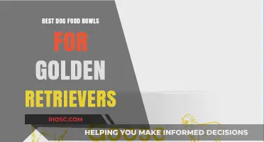 Top Picks: Durable and Stylish Dog Food Bowls for Golden Retrievers