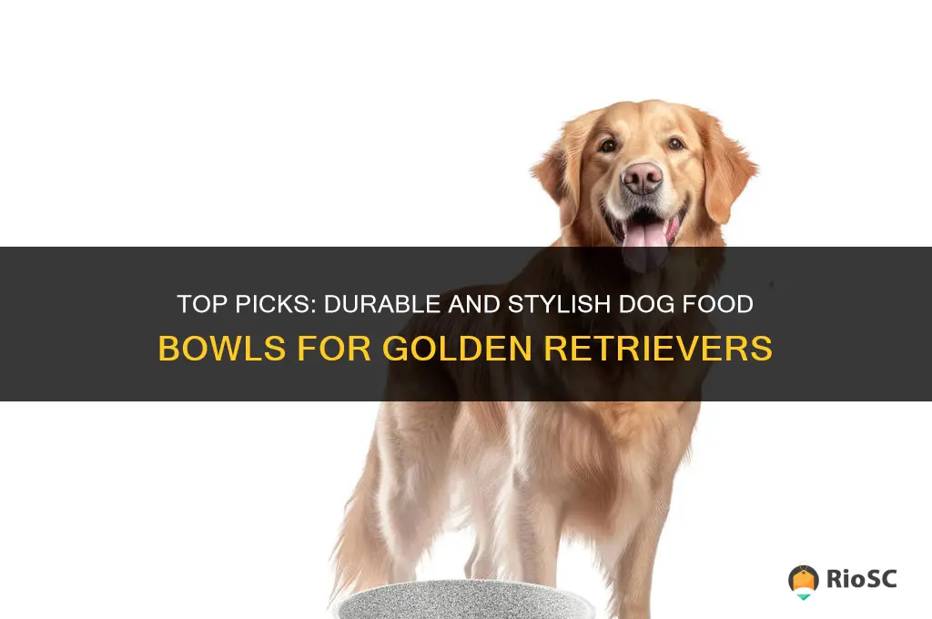 best dog food bowls for golden retrievers
