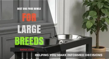 Top Picks for Large Breed Dogs: Durable and Spacious Food Bowls