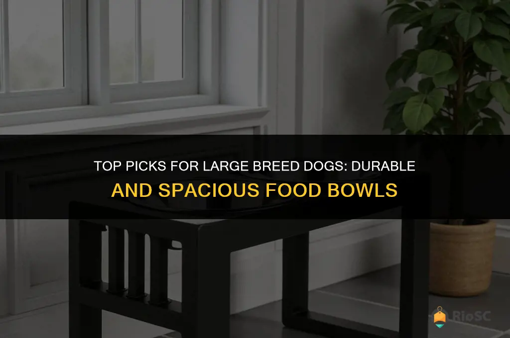 best dog food bowls for large breeds