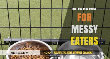 Top Picks for Tidy Dining: Best Dog Food Bowls for Messy Eaters