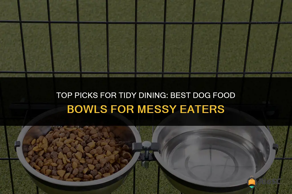 best dog food bowls for messy eaters