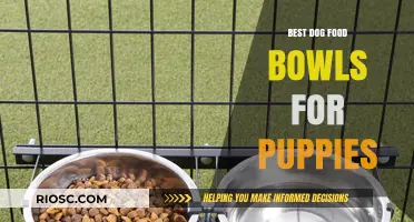 Top Picks for Your Furry Friend: Best Dog Food Bowls for Puppies