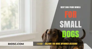 Top Picks for Tiny Tummies: The Best Dog Food Bowls for Small Dogs