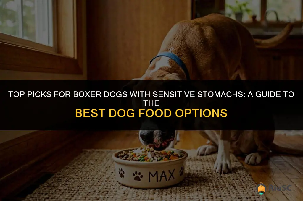 best dog food boxer sensitive stomach