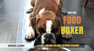 Top Picks for Your Boxer's Diet: The Best Dog Food Options