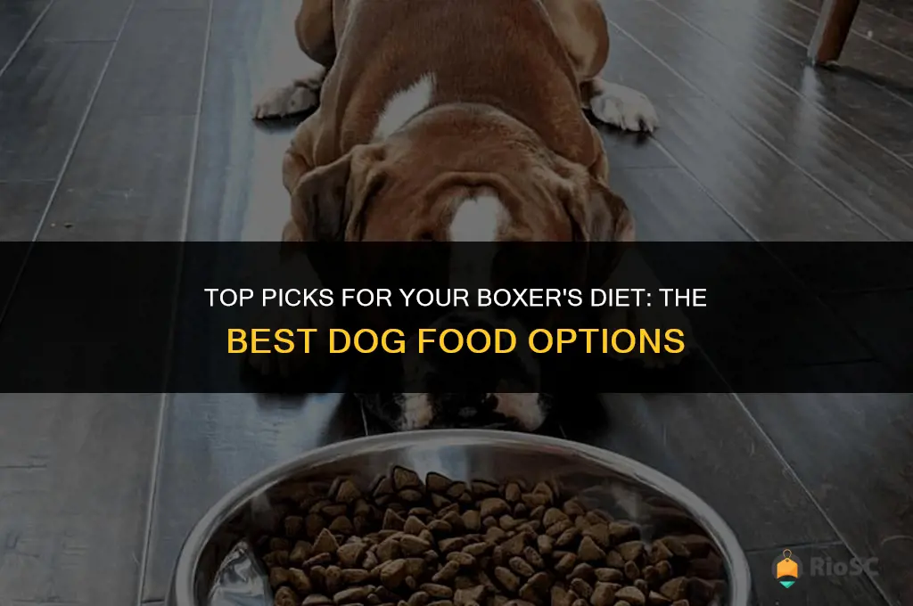 best dog food boxer