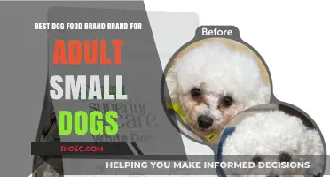 Top-Rated Nutrition: Unveiling the Best Dog Food Brand for Adult Small Dogs
