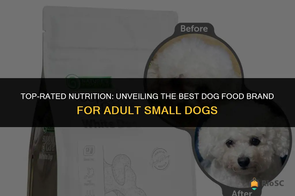 best dog food brand brand for adult small dogs