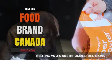 Top-Rated Dog Food Brands in Canada: A Comprehensive Guide for Pet Owners