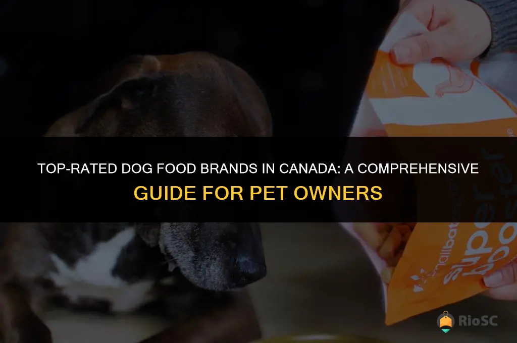 best dog food brand canada