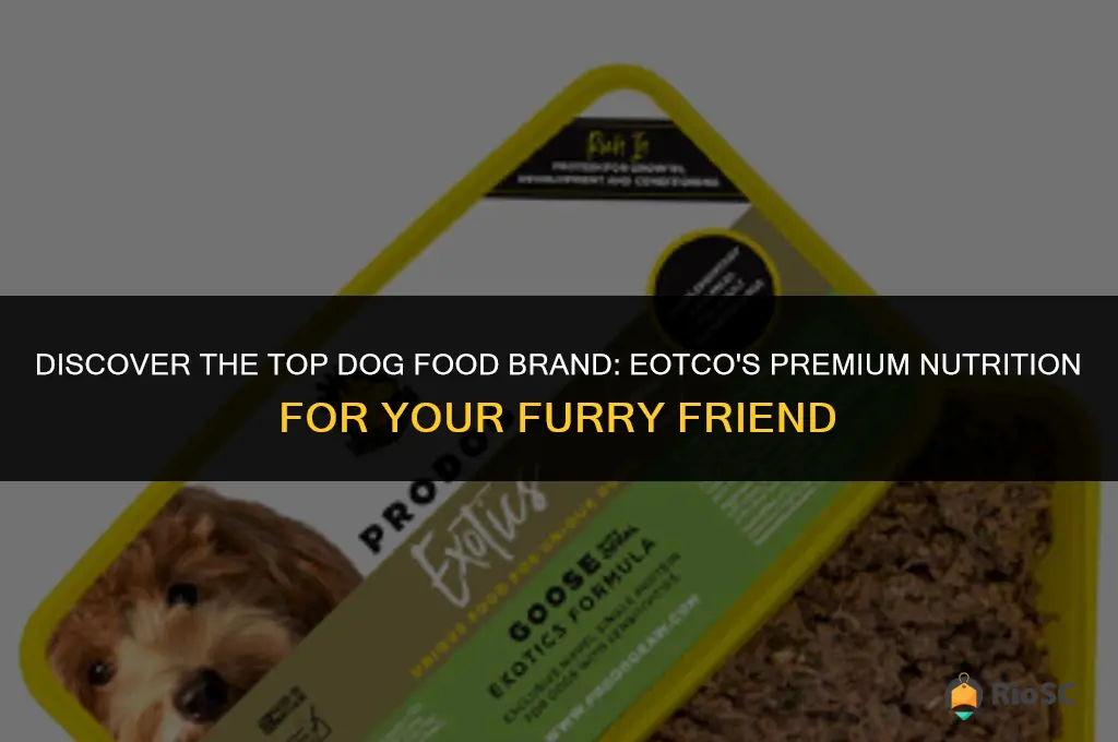 best dog food brand eotco