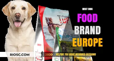 Top-Rated Dog Food Brands in Europe: A Comprehensive Guide for Pet Owners