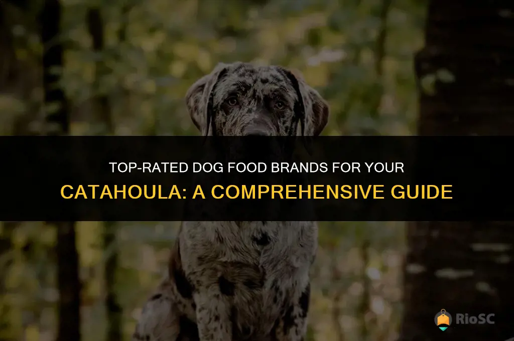 best dog food brand for a catahoula