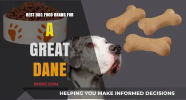 Top-Rated Dog Food Brands for Great Danes: A Comprehensive Guide