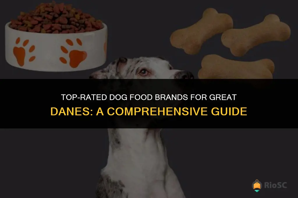 best dog food brand for a great dane
