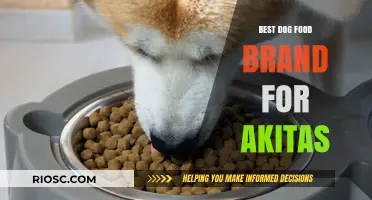 Top-Rated Dog Food Brands for Akitas: A Comprehensive Guide to Nutrition and Health
