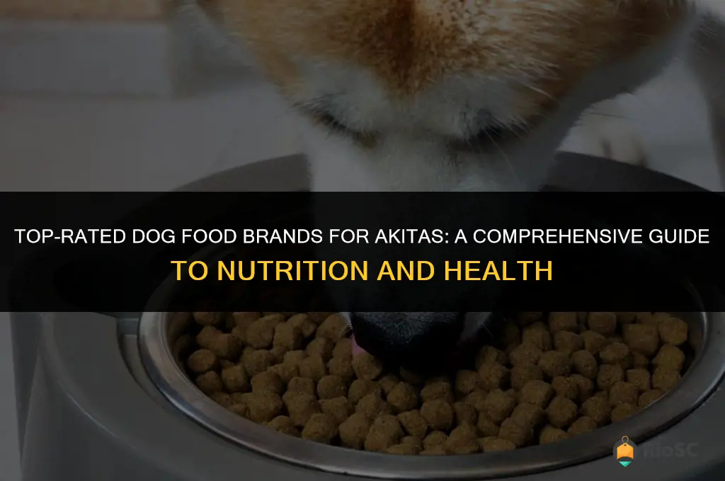 best dog food brand for akitas