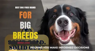Top-Rated Dog Food Brands for Large Breeds: A Comprehensive Guide