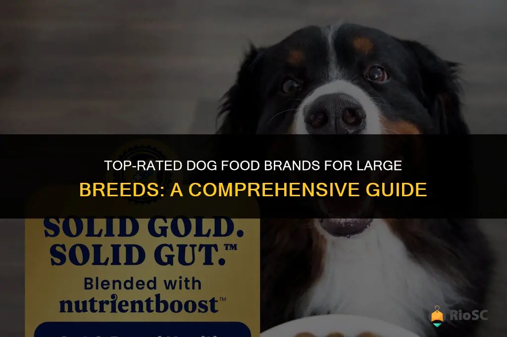 best dog food brand for big breeds