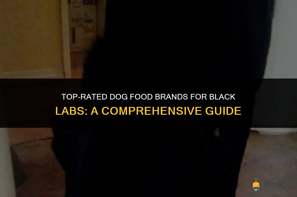 best dog food brand for black labs