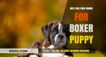 Nourishing Your Energetic Boxer Puppy: Top Dog Food Brands for Optimal Health and Growth