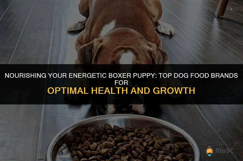 best dog food brand for boxer puppy