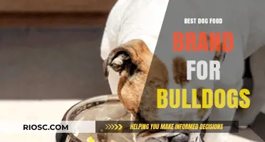 Top-Rated Dog Food Brands for Bulldogs: A Comprehensive Guide to Nutrition and Health