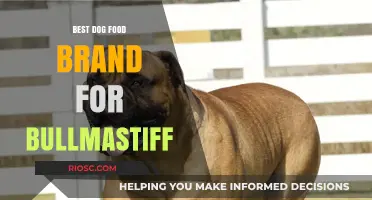 Top-Rated Dog Food Brands for Bullmastiffs: A Comprehensive Guide