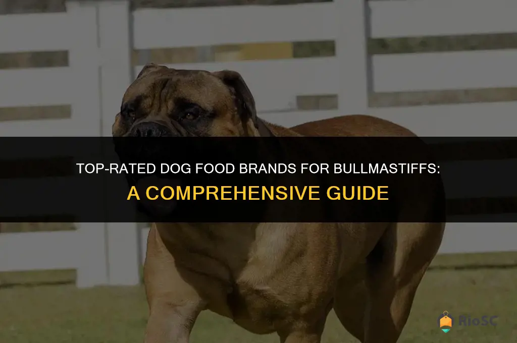 best dog food brand for bullmastiff