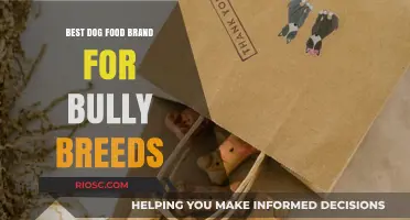 Top-Rated Dog Food Brands for Bully Breeds: A Comprehensive Guide