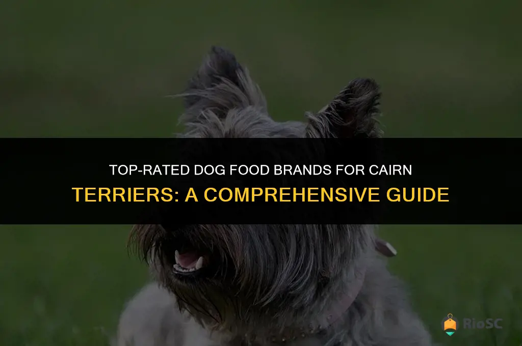best dog food brand for cairn terriers