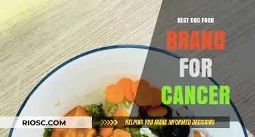 Top-Rated Dog Food Brands for Cancer Support: A Comprehensive Guide